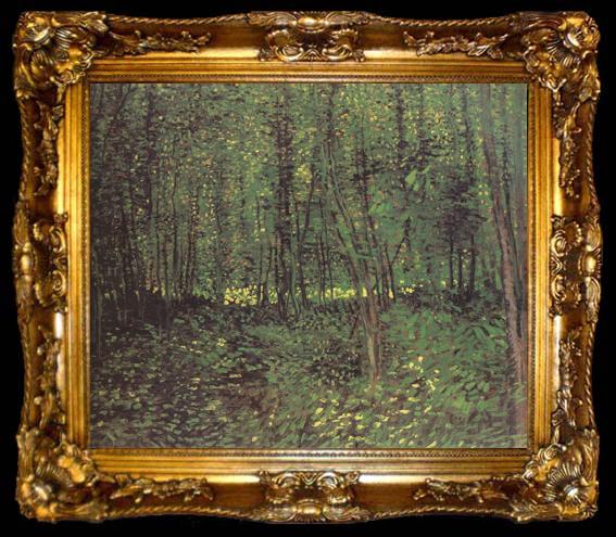 framed  Vincent Van Gogh Trees and Undergroth (nn04), ta009-2